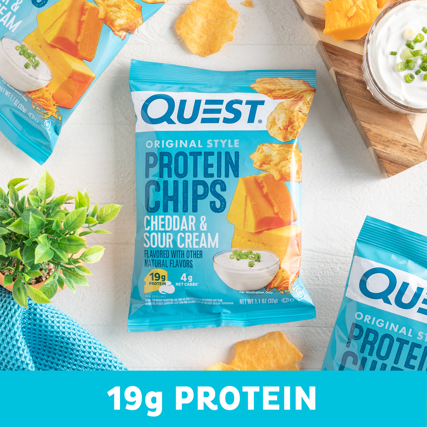 cheddar-and-sour-cream-original-style-protein-chips-f9 qst-000296_cheddar-_-sour-cream-original-style-protein-chips_6.1.png